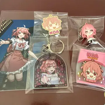 컬러풀 피치 노아 묶음 판매