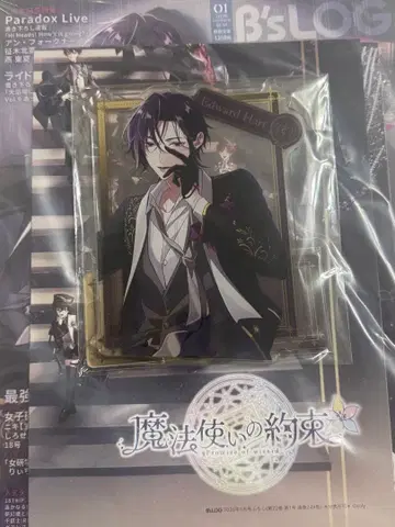 B's-LOG 도쿄 디반커 ebtenDX 팩 에드워드 하트