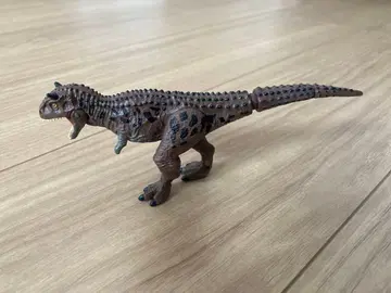 아니아 카르노타우루스