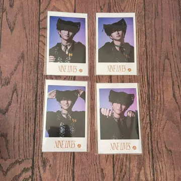 초특급 미니 사진 NINELIVES 하루