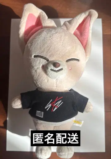 straykids 스키즈 skzoo 아이엔 foxiny 봉제 인형