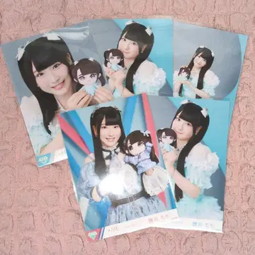 사쿠라이 모모 묶음 판매