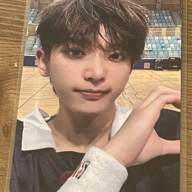 앤팀 하루아 앨범 포카 포토카드 양도합니다!