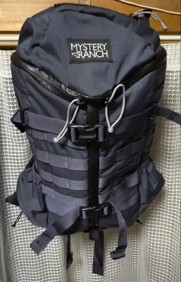 미스터리 랜치 투데이 어솔트