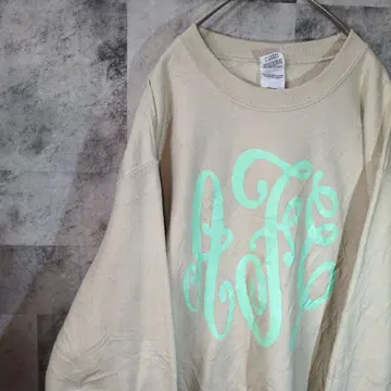 맨투맨 트레이닝복 베이지 M A31,7