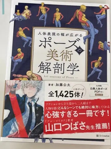 포즈의 미술 해부학