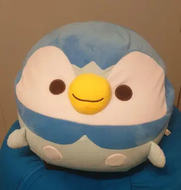 꼬옥 쥔 팽도리