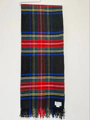 존스톤즈 대형 스톨 유나이티드 애로우즈 그린 라벨 별주