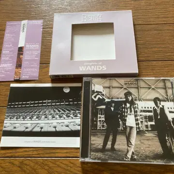 complete of WANDS at the BEING studio