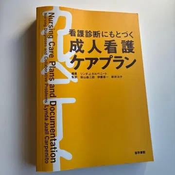 간호 진단에 기반한 성인 간호 케어 플랜