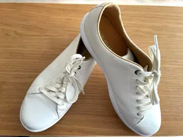 콜한 화이트 레이스업 스니커즈 24.5cm