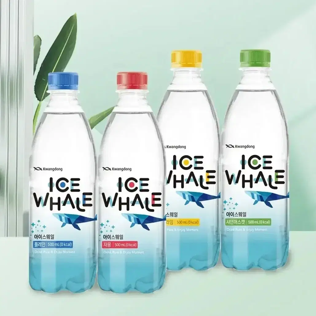 100% 코코넛워터 12팩 (1L) *유통기한 임박 할인 진행 #코코넛워터,#코코넛주스,#코코넛음료,#코코넛 on Bunjang  Global Site., image size:1029x1029