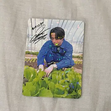 사와모토 나츠키 사와나츠야 트레이딩 카드