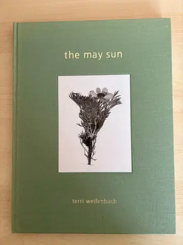 Terri Weifenbach the may sun