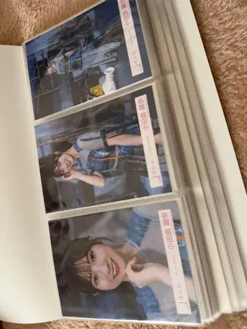 폴더 포함 오다쿠라 레이나 브로마이드 세트