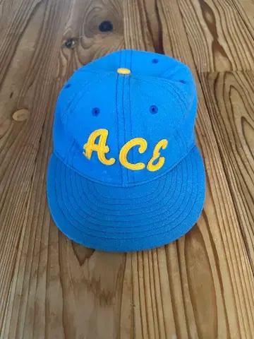 Ebbets Field Flannels ACE 캡