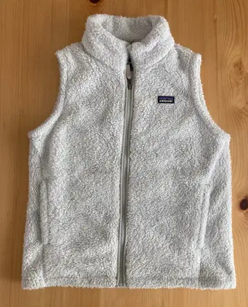 파타고니아 라이트 그레이 베스트
