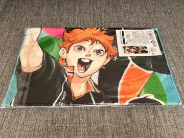 하이큐 팬파크 페이스타월