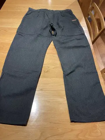 레어 빅사이즈 patagonia 헴프 팬츠 사이즈 36