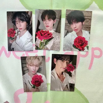 한국 TXT 사전 녹화 tomorrow 트레이딩 카드 세트 5장