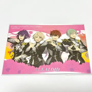 앙스타 스타포니 라이브 뷰잉 특전 비주얼 카드 세트 day2