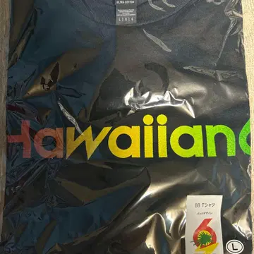 [ L 사이즈 ] hawaiian6 티셔츠 레인보우 로고