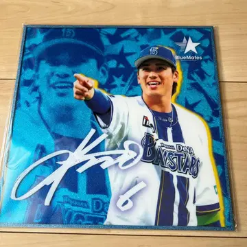 아크릴 라메 색지 #6 모리 케이토