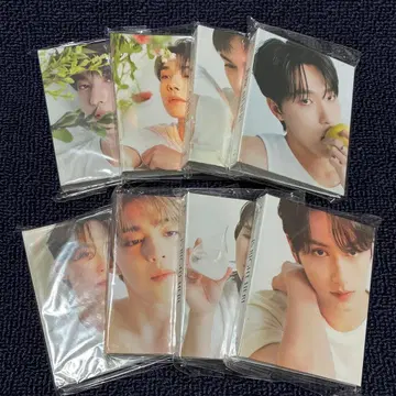 seventeen 트레카 바인더 세트 8명 묶음 판매 세부치