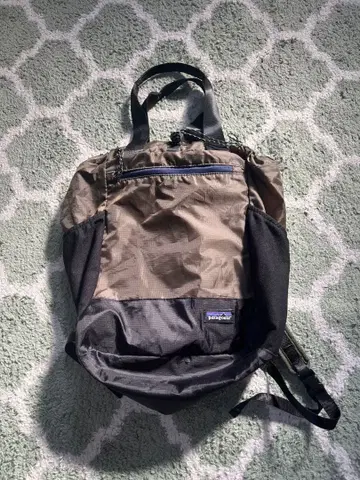 Patagonia Light Weight Travel Tote Pack