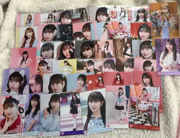 이코럽 야마모토 안나 브로마이드 장미 묶음 판매 44장