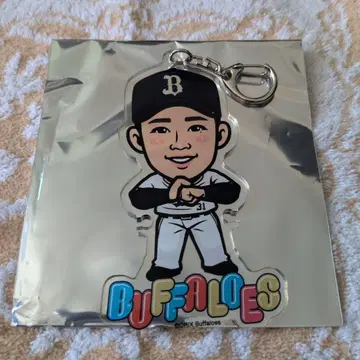 오릭스 버팔로즈 에어 복권 오타 료 선수