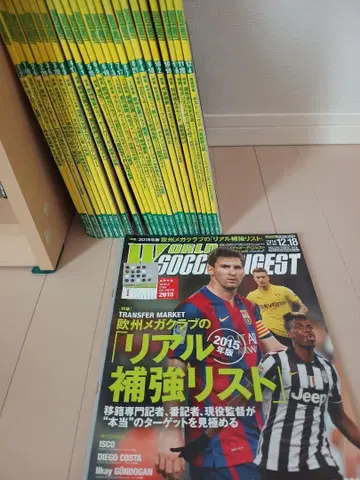 월드 사커 다이제스트 2014년판