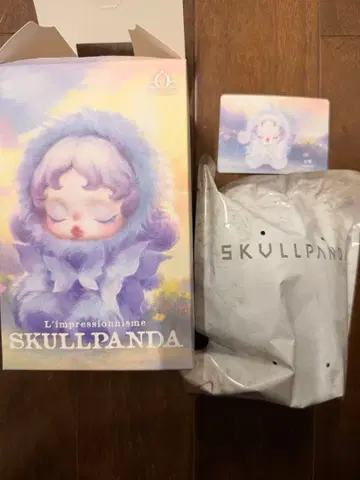 SKULLPANDA 스컬팬더 popmart Lightning
