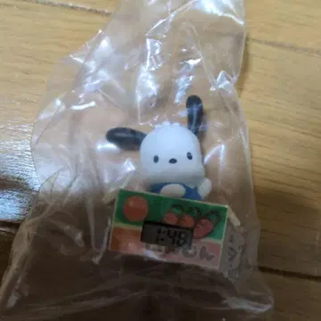 포차코 종이상자 워치 가챠