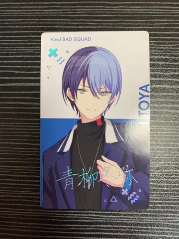 아오야기 겨울 bnw 에피카 금박