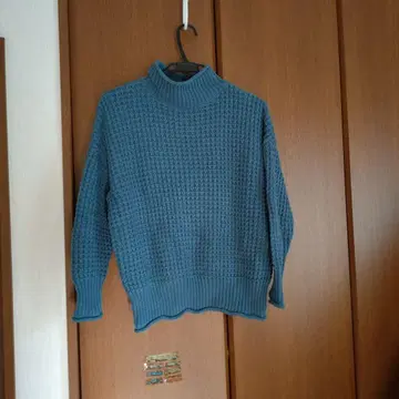 블루 터틀넥 스웨터