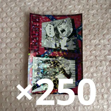 치기리 효마 홀로포스