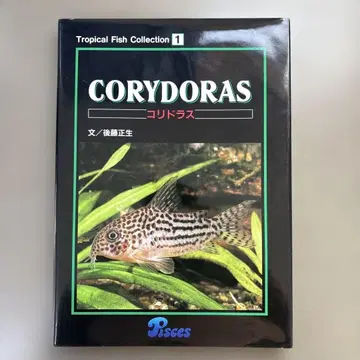 중고서적 코리도라스 Tropical Fish Collection 1