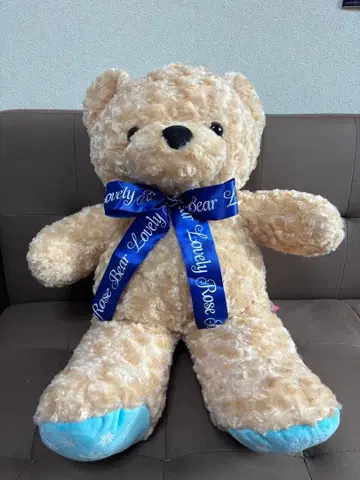 러블리 로즈 베어 브라운 봉제 인형