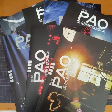 엘리펀트 카시마시 뉴스레터 7세트