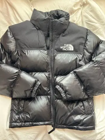 THE NORTH FACE 눕시 한국 다운