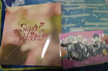 앙스타 스타포니 4th 1일차 라이브 뷰잉 입장 혜택 카드 별책 팜플렛