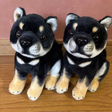 블랙콩 시바견 봉제 인형 묶음 판매 시바견