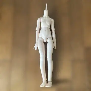 MDD 베이스 바디