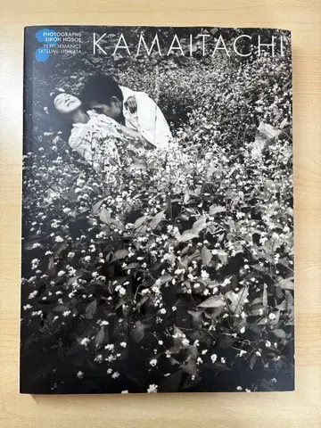 호소에 에이코 카마이타치