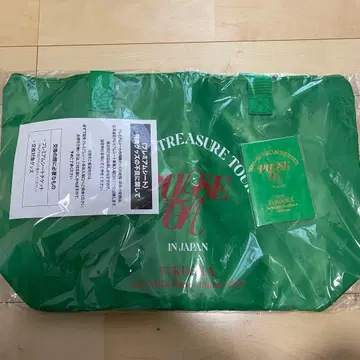 TREASURE PULSE ON 업그레이드 혜택 그린