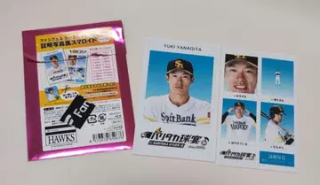 야나기타 유키 팬페스 증명사진풍 프로마이드