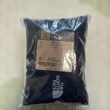 THE NORTH FACE 플라이웨이트팩 22 블랙