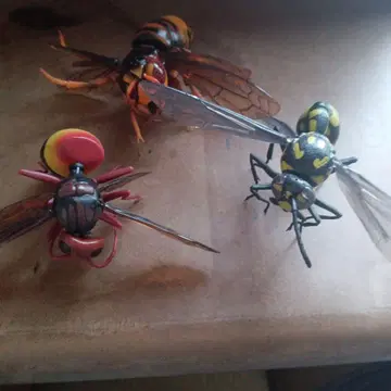 생물 대도감 벌