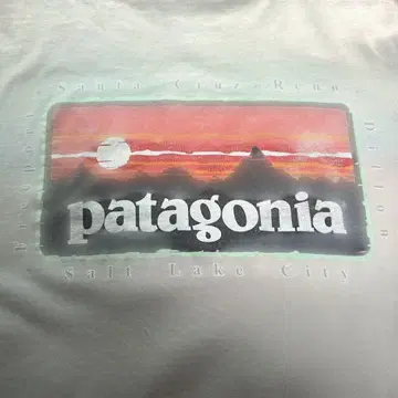 patagonia L/S t-shirt